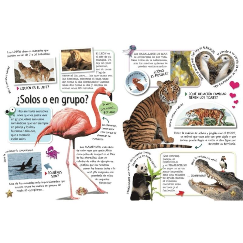 Adaptación animal