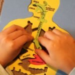 Puzzle sistema digestivo - Imagen 2