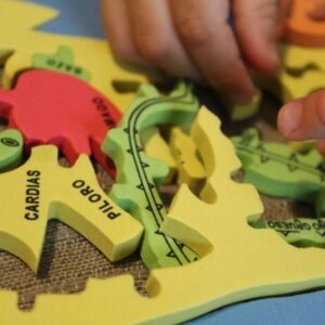 Puzzle sistema digestivo