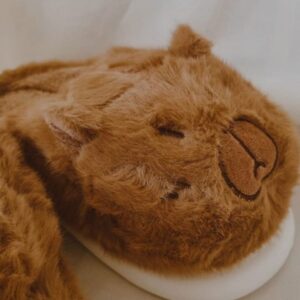 Pantuflas capibara cachetitos