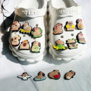Pins capibara x4