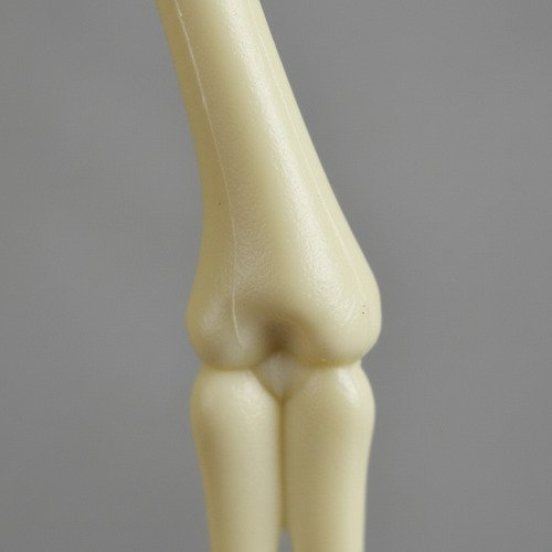 Esqueleto 3d Didáctico Anatomía Infantil Articulado Piezas - Imagen 5