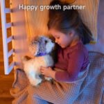 Perro Inteligente Peluche Camina Ladra Y Habla Repite Voces - Imagen 7