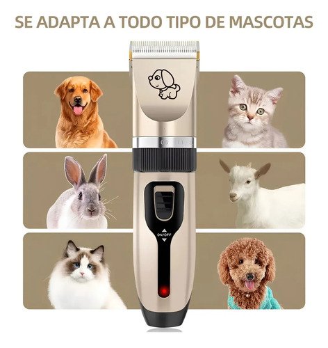 Set Completo Corta Pelo Para Perro Y Gato Mascotas Usb Negro Y Dorado - Imagen 4