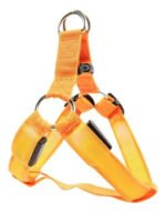 Pechera Arnés Para Perro Gato Con Luz Led Seguridad Nocturna Naranja L Pechera - Imagen 2