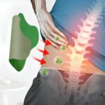 Kit 10 Parches De Ajenjo Para El Dolor Cervical Y Lumbar Parche - Imagen 2